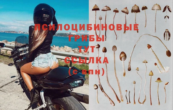 a pvp Вязники