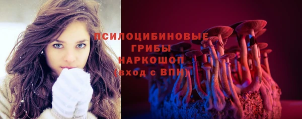 соль ск Вязьма
