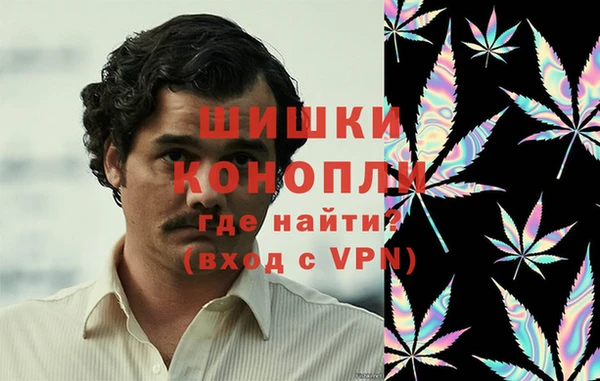 круглые Вяземский