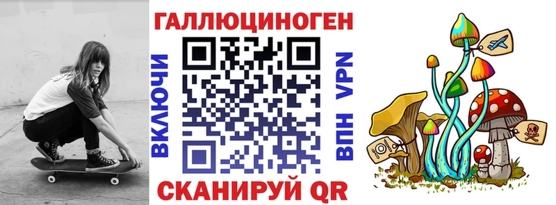 Купить закладки  Прохладный  Псилоцибиновые грибы MAGIC MUSHROOMS 
